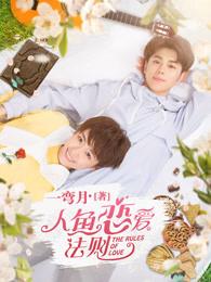 人鱼恋爱法则第一季电视剧