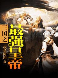三国是谁得了天下