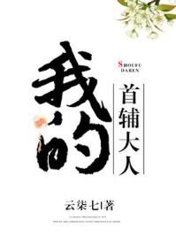我的首辅大人罗慎远