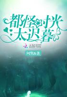 都怪时光太动听艾小图全文