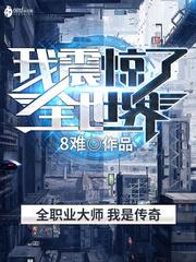 玩具屋卖机甲我震惊了全世界