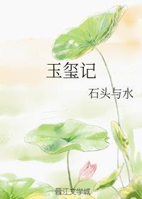 玉玺记石头与水书包网