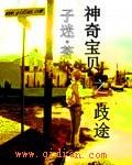神奇宝贝之歧途百科