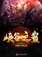 峡谷之巅为什么进不去