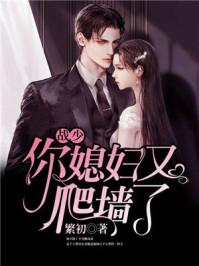 战少你媳妇又爬墙了完整版