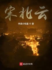 宋北云TXT全集