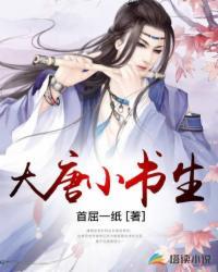 大唐小书生34