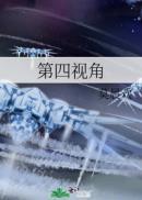 第四视角烂尾的详细解释