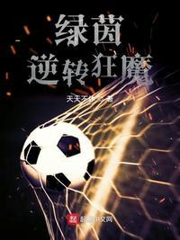 绿茵逆转狂魔TXT免费