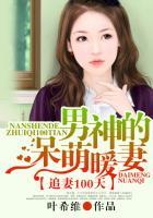 追妻100天男神的呆萌暖妻 叶希维