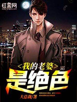 我的老婆是绝色大反派免费阅读