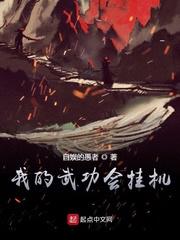 我的武功会挂机多少字