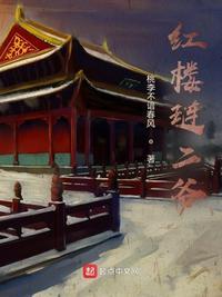 红楼琏二爷免费阅读无弹窗