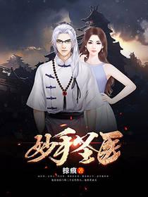 妙手圣医后续