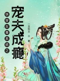 快穿在女尊世界宠夫成瘾