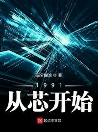 1991从芯开始知轩