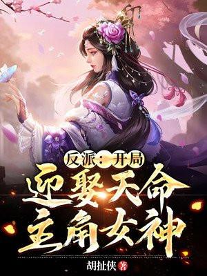 开局迎娶反派boss卡夜阁
