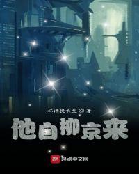 他自柳京来无弹窗