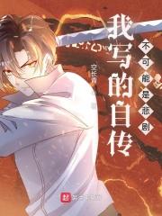 我写的自传不可能是悲剧防盗版