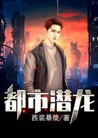赵东苏菲花都兵王正版