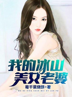 我的冰山美女老婆目录
