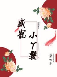 富贵小丫鬟男主角是谁