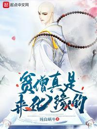 贫僧说的是什么