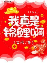 知乎 我是锦鲤