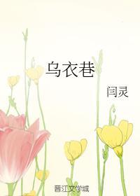 乌衣巷txt百度