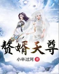 赘婿天尊免费
