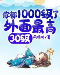 外面最高30级短剧演员表