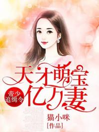 帝少追击令天才萌宝亿万妻未删减版免费阅读全文