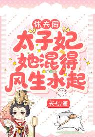 太子妃要休夫动漫