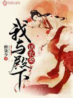 我和殿下斗小三