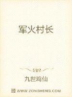 军火集团系列第一部名字