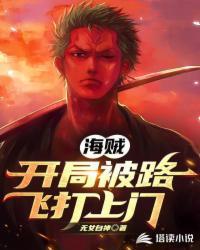 海贼王之开局路飞邀我上船