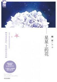 星星上的花影视化