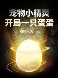 宠物小精灵之开局无敌