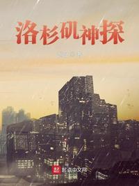 洛杉矶神探加料精校