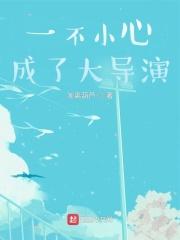 华娱之风起2005