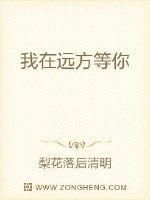 我在远方等你等你歌词