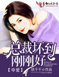 总裁夺妻入怀免费阅读全文