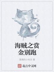 海贼之赏金别跑起点