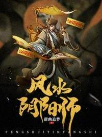 赖布衣真传阴阳宅图解书籍
