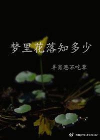 梦里花落知多少主题曲