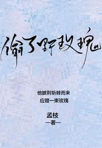 偷了野玫瑰全文阅读