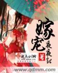 嫁宠是什么意思
