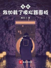 海贼我加载了游戏面板八一