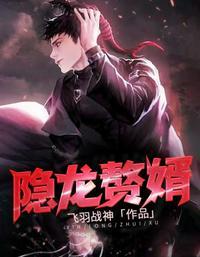 隐龙为婿岳风版