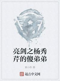 亮剑之杨秀芹的傻弟弟起点中文网